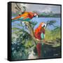 Parrots at Bay II-Jane Slivka-Framed Stretched Canvas