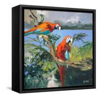 Parrots at Bay II-Jane Slivka-Framed Stretched Canvas
