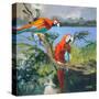 Parrots at Bay II-Jane Slivka-Stretched Canvas