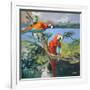 Parrots at Bay II-Jane Slivka-Framed Art Print