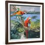 Parrots at Bay II-Jane Slivka-Framed Art Print