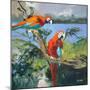 Parrots at Bay II-Jane Slivka-Mounted Premium Giclee Print