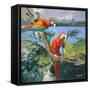 Parrots at Bay II-Jane Slivka-Framed Stretched Canvas