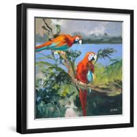 Parrots at Bay II-Jane Slivka-Framed Art Print