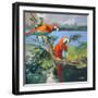 Parrots at Bay II-Jane Slivka-Framed Art Print