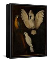 Parrots, c.1670-Dutch School-Framed Stretched Canvas