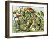 Parrots, Cockatoos, and Other Jungle Birds-null-Framed Giclee Print