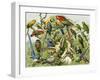 Parrots, Cockatoos, and Other Jungle Birds-null-Framed Giclee Print