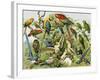 Parrots, Cockatoos, and Other Jungle Birds-null-Framed Giclee Print