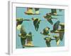 Parrots in Flight - Retro-Pete Hawkins-Framed Giclee Print