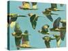 Parrots in Flight - Retro-Pete Hawkins-Stretched Canvas