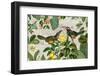 Parrots Nostalgic Journey 2-Andrea Haase-Framed Photographic Print