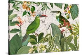 Parrots Nostalgic Journey 3-Andrea Haase-Stretched Canvas