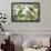 Parrots Nostalgic Journey 3-Andrea Haase-Framed Photographic Print displayed on a wall