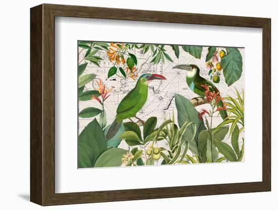 Parrots Nostalgic Journey 3-Andrea Haase-Framed Photographic Print