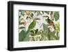 Parrots Nostalgic Journey 3-Andrea Haase-Framed Photographic Print