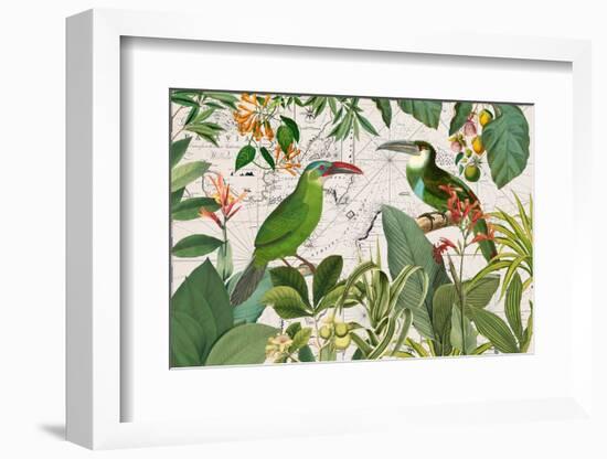 Parrots Nostalgic Journey 3-Andrea Haase-Framed Photographic Print