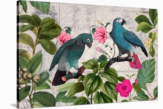 Parrots Nostalgic Journey Kopie-Andrea Haase-Stretched Canvas