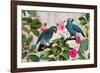 Parrots Nostalgic Journey Kopie-Andrea Haase-Framed Photographic Print