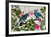 Parrots Nostalgic Journey Kopie-Andrea Haase-Framed Photographic Print