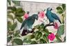 Parrots Nostalgic Journey Kopie-Andrea Haase-Mounted Photographic Print