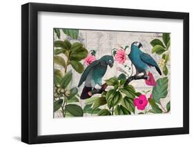 Parrots Nostalgic Journey Kopie-Andrea Haase-Framed Photographic Print