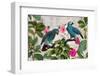 Parrots Nostalgic Journey Kopie-Andrea Haase-Framed Photographic Print