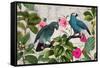 Parrots Nostalgic Journey Kopie-Andrea Haase-Framed Stretched Canvas