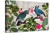 Parrots Nostalgic Journey Kopie-Andrea Haase-Stretched Canvas