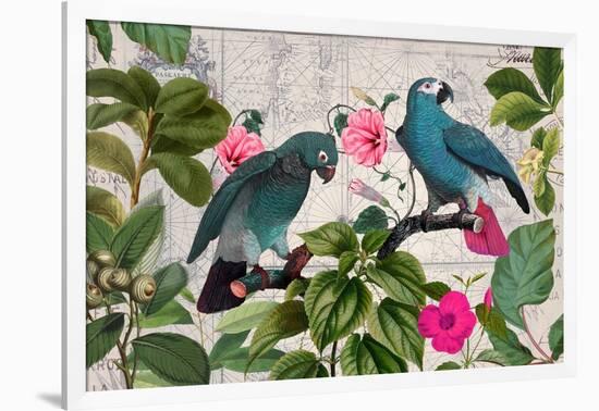 Parrots Nostalgic Journey Kopie-Andrea Haase-Framed Photographic Print