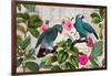 Parrots Nostalgic Journey Kopie-Andrea Haase-Framed Photographic Print