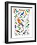 Parrots-null-Framed Premium Giclee Print