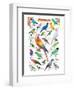 Parrots-null-Framed Premium Giclee Print