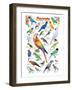 Parrots-null-Framed Premium Giclee Print