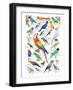 Parrots-null-Framed Premium Giclee Print