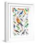 Parrots-null-Framed Premium Giclee Print