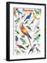 Parrots-null-Framed Art Print