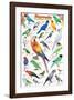 Parrots-null-Framed Art Print