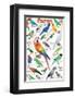 Parrots-null-Framed Art Print