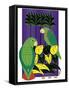 Parrots-Marie Sansone-Framed Stretched Canvas