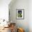 Parrots-Marie Sansone-Framed Giclee Print displayed on a wall