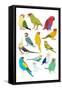 Parrots-Hanna Melin-Framed Stretched Canvas