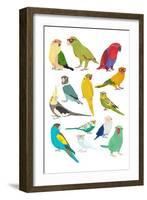 Parrots-Hanna Melin-Framed Art Print