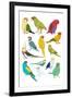 Parrots-Hanna Melin-Framed Art Print