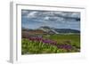 Parry's Primrose, Primuli Parryi, Alaska Basin Wilderness, Idaho-Howie Garber-Framed Photographic Print