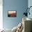 Pars-Kamor Lighthouse, Breton Corniche, Cotes d'Armor, France-David Hughes-Framed Stretched Canvas displayed on a wall