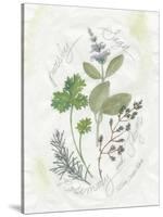 Parsley and Sage-Elissa Della-piana-Stretched Canvas