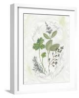 Parsley and Sage-Elissa Della-piana-Framed Art Print