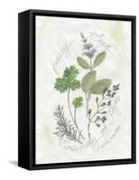 Parsley and Sage-Elissa Della-piana-Framed Stretched Canvas