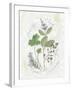 Parsley and Sage-Elissa Della-piana-Framed Art Print